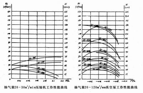 SK水環(huán)式真空泵